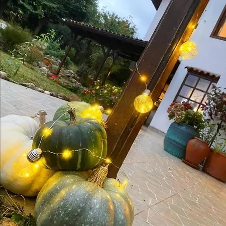 Villa Villa Buanes *
